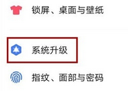 vivo NEX http://www.downza.cn/xy/3s关闭系统自动更新的方法步骤截图