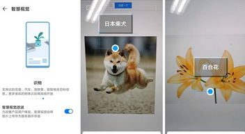 荣耀30s智慧视觉作用介绍截图