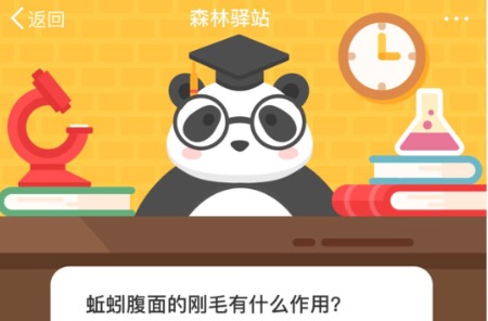 关于蚯蚓腹面的刚毛有什么作用。