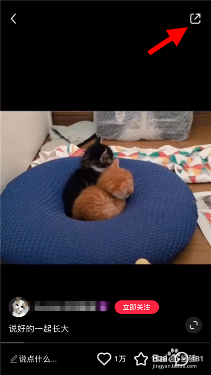 小红书的视频如何保存下来