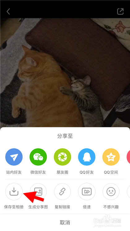 小红书的视频如何保存下来