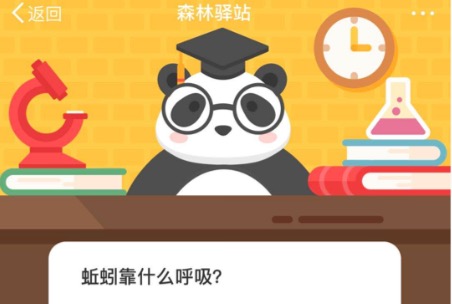 小编教你蚯蚓靠什么呼吸。