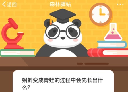小编分享蝌蚪变成青蛙的过程中会先长出什么。