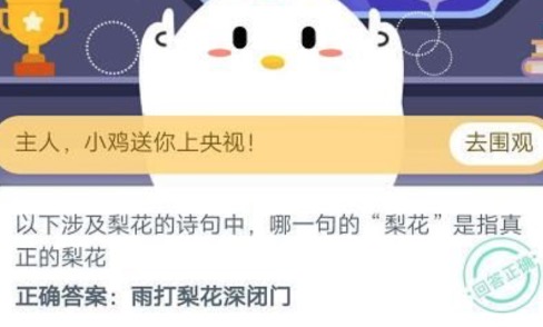 今天说说以下涉及梨花的诗句中哪一句的梨花是指真正的梨花。