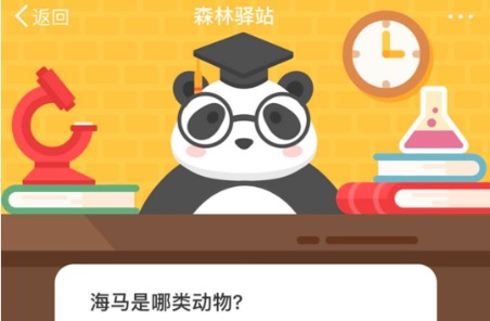 今天说说海马是哪类动物。