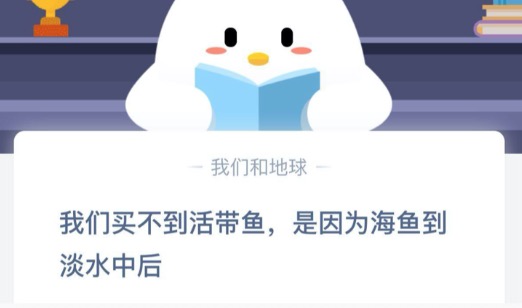 小编教你我们买不到活带鱼是因为海鱼到淡水中后。