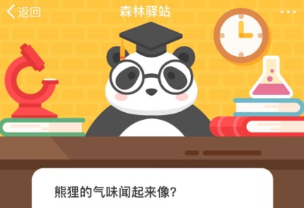 我来教你熊狸的气味闻起来像。