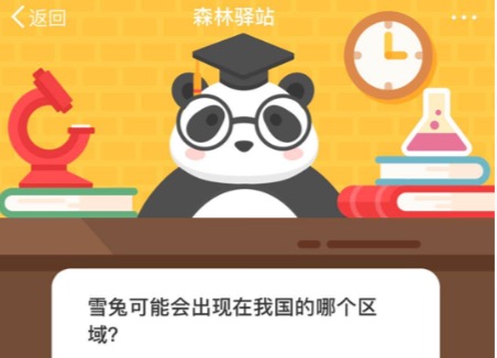 小编教你雪兔可能会出现在我国的哪个区域。
