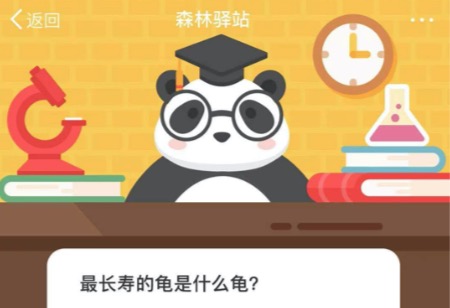 关于最长寿的龟是什么龟。