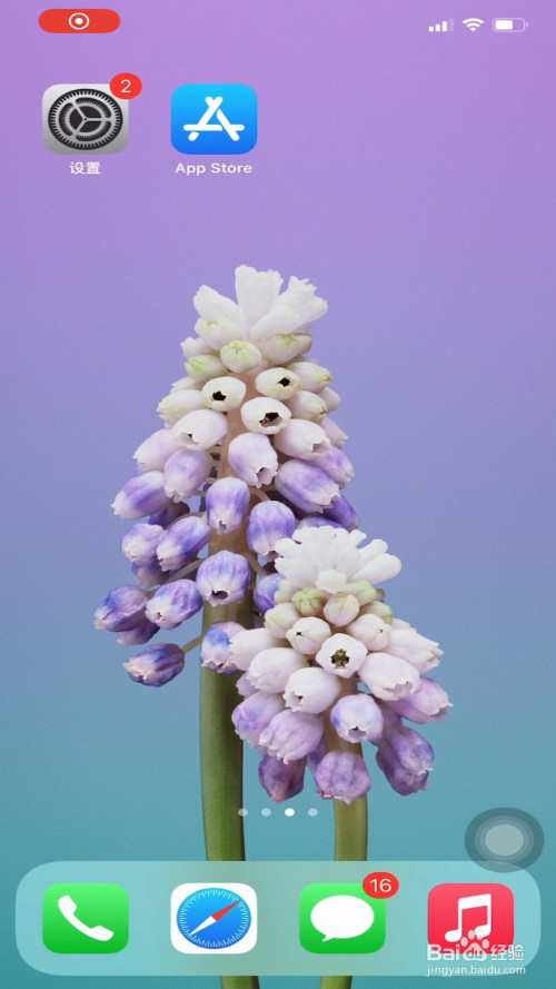 关于apple id密码忘了如何处理。