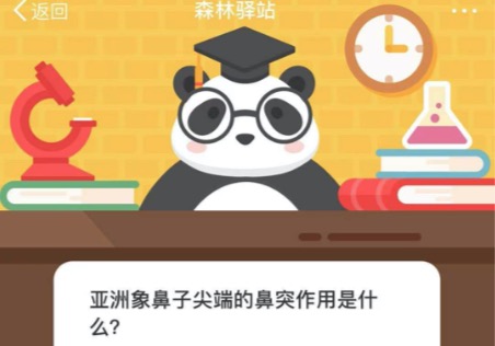 今天说说亚洲象鼻子尖端的鼻突作用是什么。