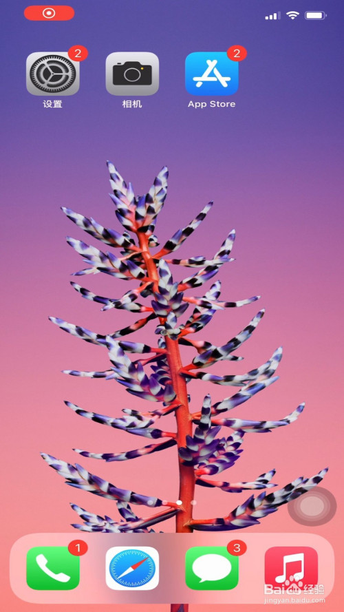 我来教你苹果手机如何清理隐藏内存。