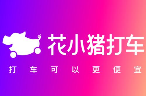 花小猪怎么重新定位。