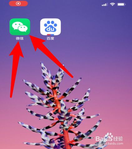 今天分享微信拍一拍如何用。