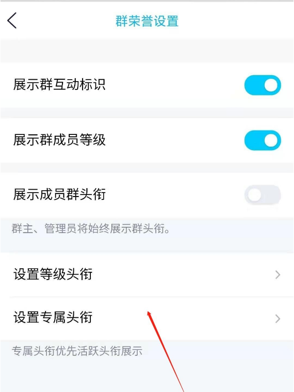 qq群主设置头衔怎么做 qq群主给成员添加头衔步骤一览截图