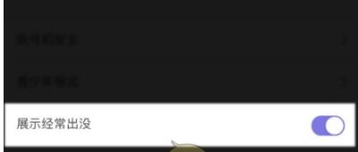 微光怎么隐身在线?微光隐身在线的方法截图