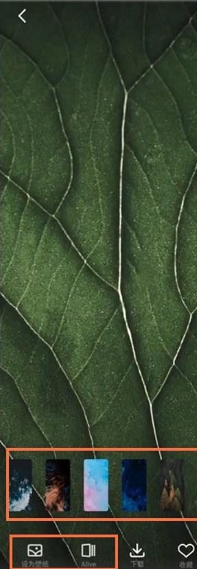 魅族18pro如何设置桌面壁纸?魅族18pro设置桌面壁纸方法截图