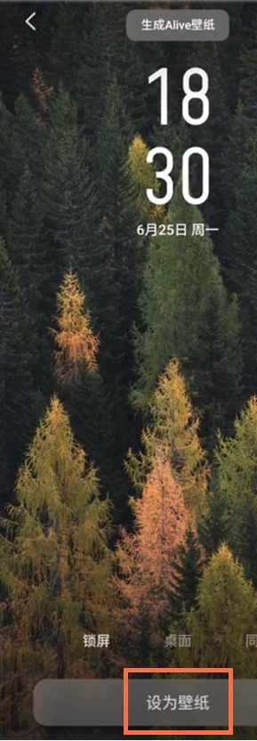 魅族18pro如何设置桌面壁纸?魅族18pro设置桌面壁纸方法截图