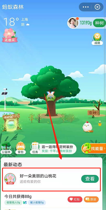 蚂蚁森林树洞在哪?支付宝蚂蚁森林520表白树洞玩法截图