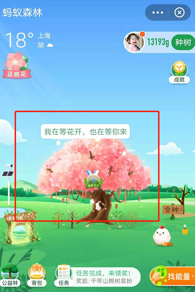 蚂蚁森林树洞在哪?支付宝蚂蚁森林520表白树洞玩法截图