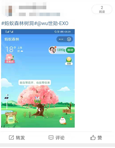 蚂蚁森林树洞在哪?支付宝蚂蚁森林520表白树洞玩法截图