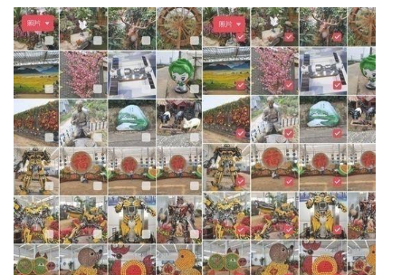 opporeno5如何开启隐藏相册?opporeno5隐藏相册开启方法截图