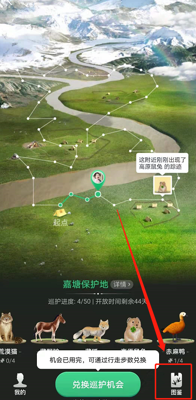 蚂蚁森林巡护动物怎么换?蚂蚁森林换巡护动物的教程步骤截图