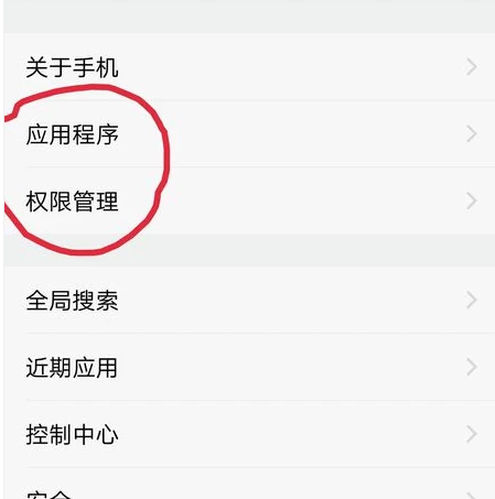 vivo如何设置权限管理?vivo权限管理设置操作方法截图