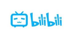 关于哔哩哔哩怎样启用双指旋屏手势。