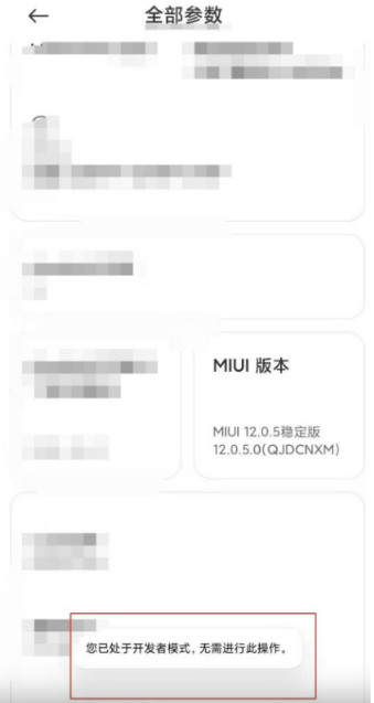红米note10pro如何设置开发者模式?红米note10pro设置开发者模式教程介绍截图