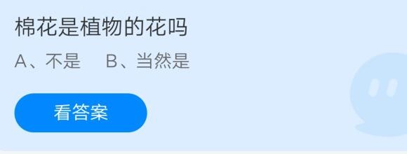今天分享棉花是植物的花吗。