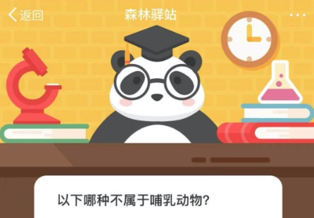 今天说说哪种不属于哺乳动物。