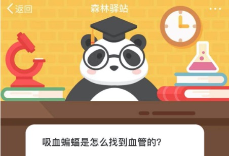 今天分享吸血蝙蝠是怎么找到血管的。