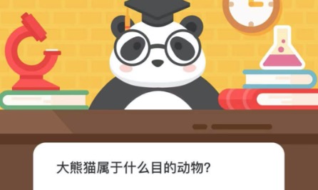 今天分享大熊猫属于什么目的动物。