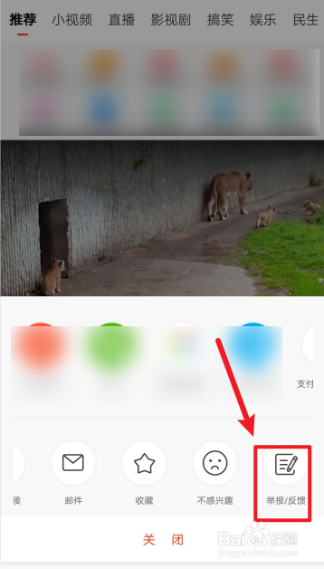 新浪新闻怎么举报反馈视频