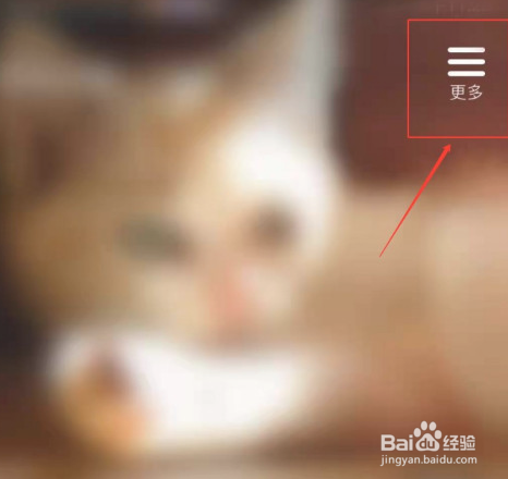 觅伊怎么将好感度关掉