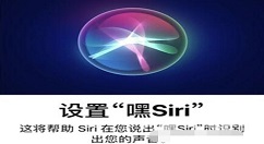 小编分享苹果12Siri没有声音怎么回事 苹果12Siri没有声音解决方法。