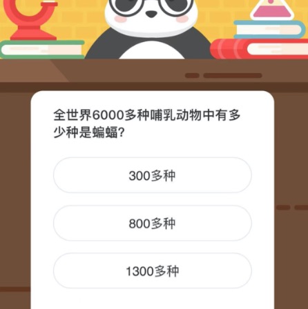全世界6000多种哺乳动物中有多少种是蝙蝠。