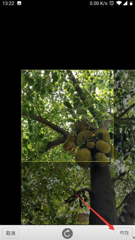 网商银行如何修改头像