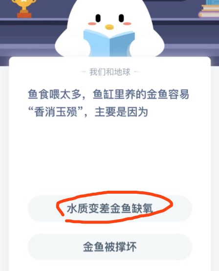 支付宝小鸡2021年1月18日今天答案是什么。