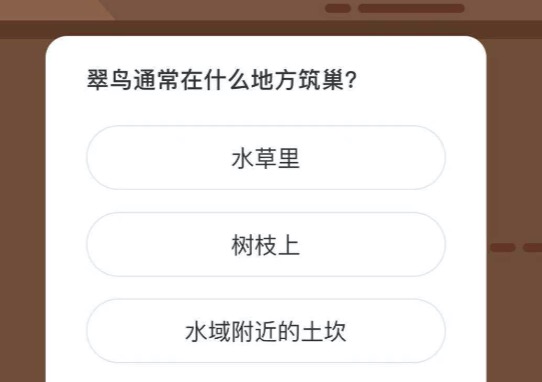 翠鸟通常在什么地方筑巢。
