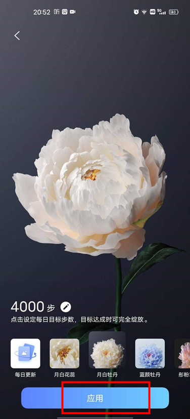 originos如何设置行为壁纸