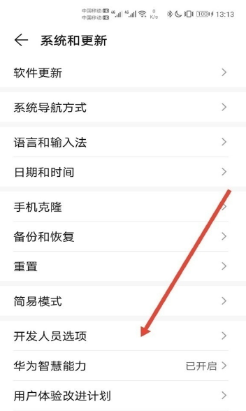 1617001895385691.png 华为mate40e开发者选项在什么地方