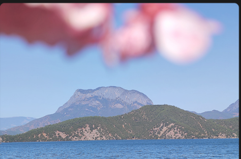 1617170109140995.png 小米MIXFOLD像素是多少