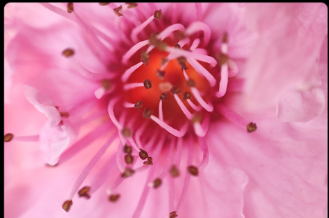 1617170116212838.png 小米MIXFOLD像素是多少