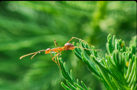 1617170125112954.png 小米MIXFOLD像素是多少