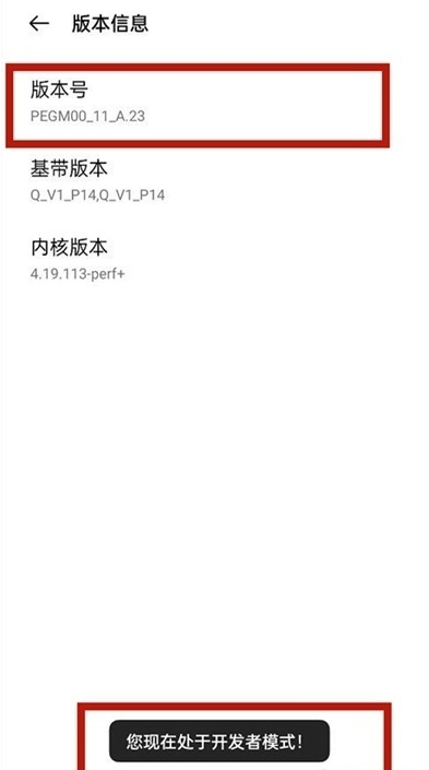 一加9r怎么打开开发者选项