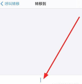 iphone12如何设置来电转移
