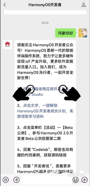 华为聊天隐私保护怎么使用。