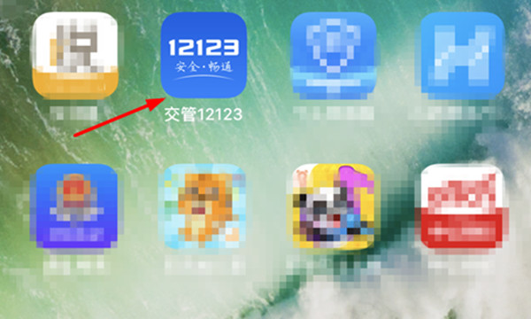 交管12123怎么查看电子驾驶证。